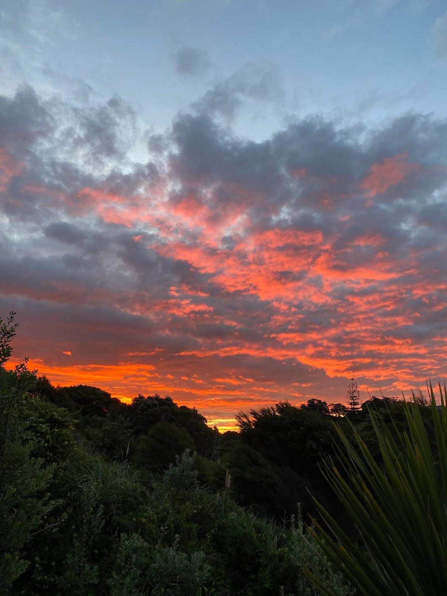 Kereru Cabin - Spectacular Seaviews, Rustic, Glamping Eco Adventure Palm Beach Luaran gambar