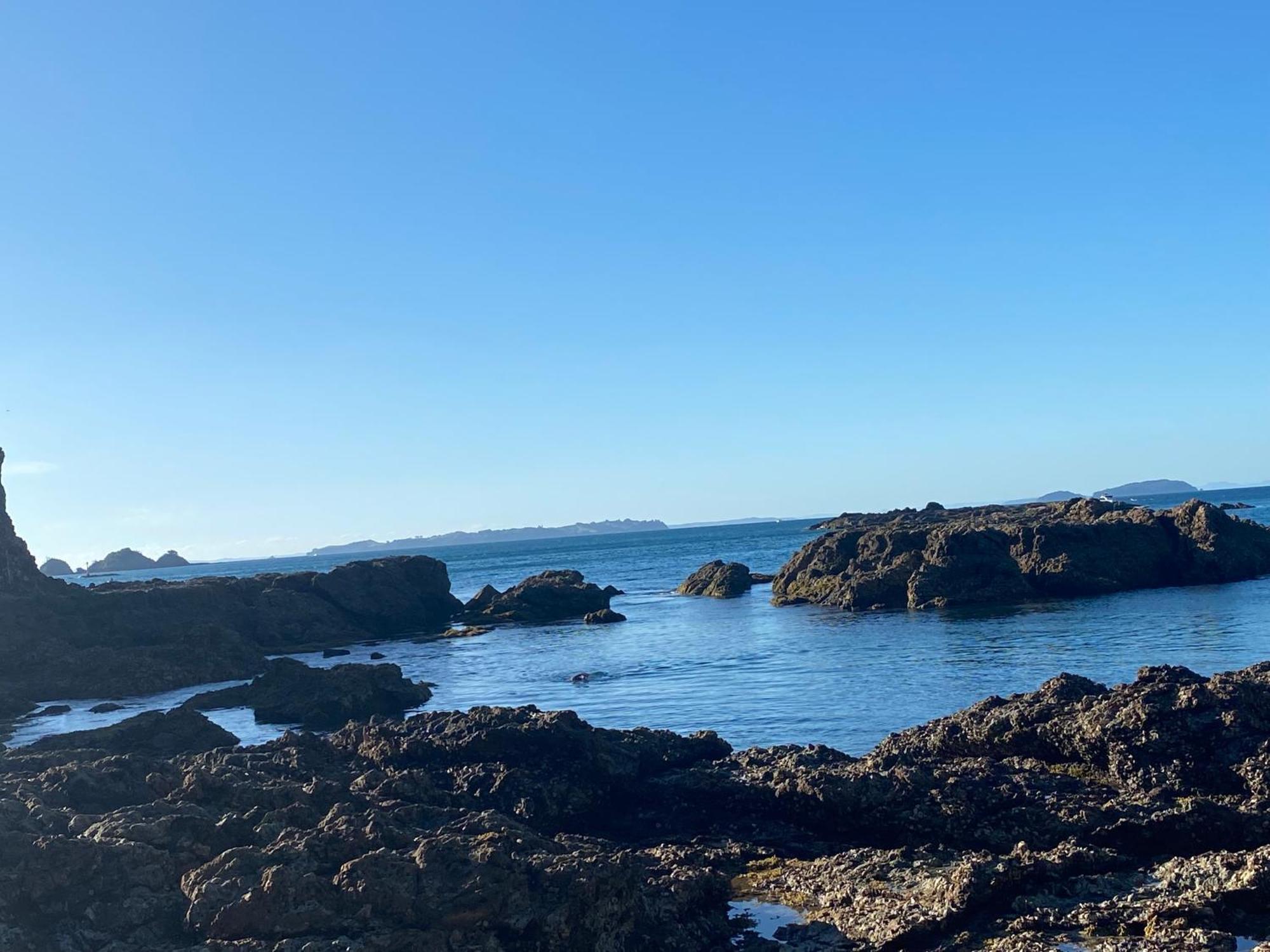 Kereru Cabin - Spectacular Seaviews, Rustic, Glamping Eco Adventure Palm Beach Luaran gambar